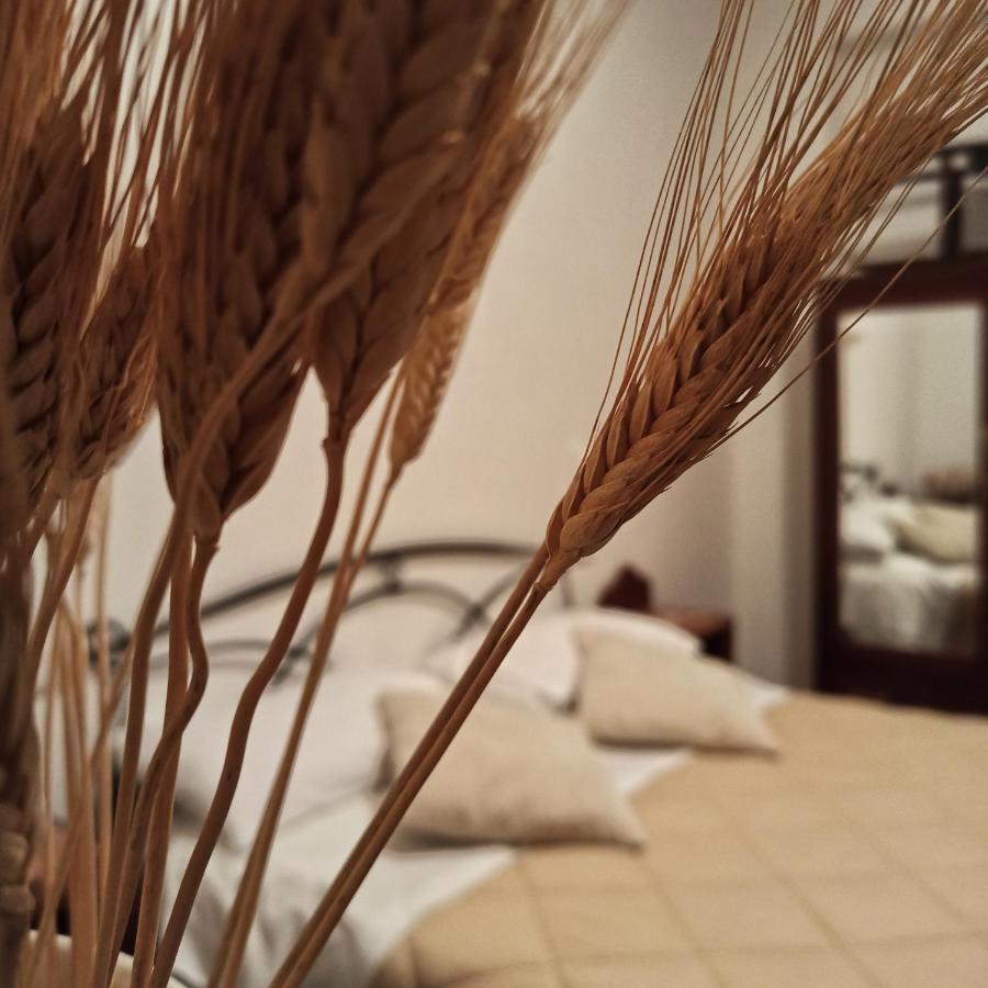 B&B La Masseria Del '700 Castiglione a Casauria Dış mekan fotoğraf