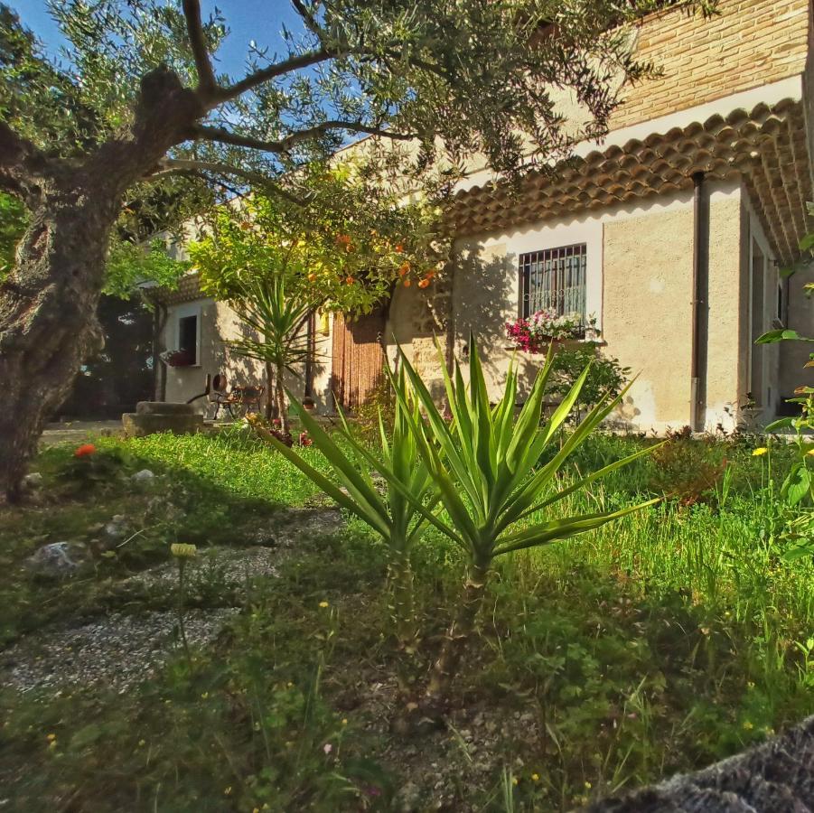 B&B La Masseria Del '700 Castiglione a Casauria Dış mekan fotoğraf